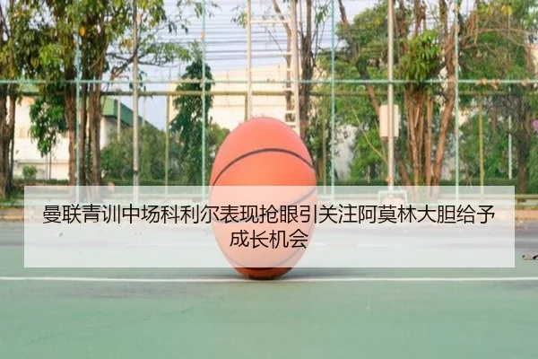 img_1783265412134_847_1_777.jpg